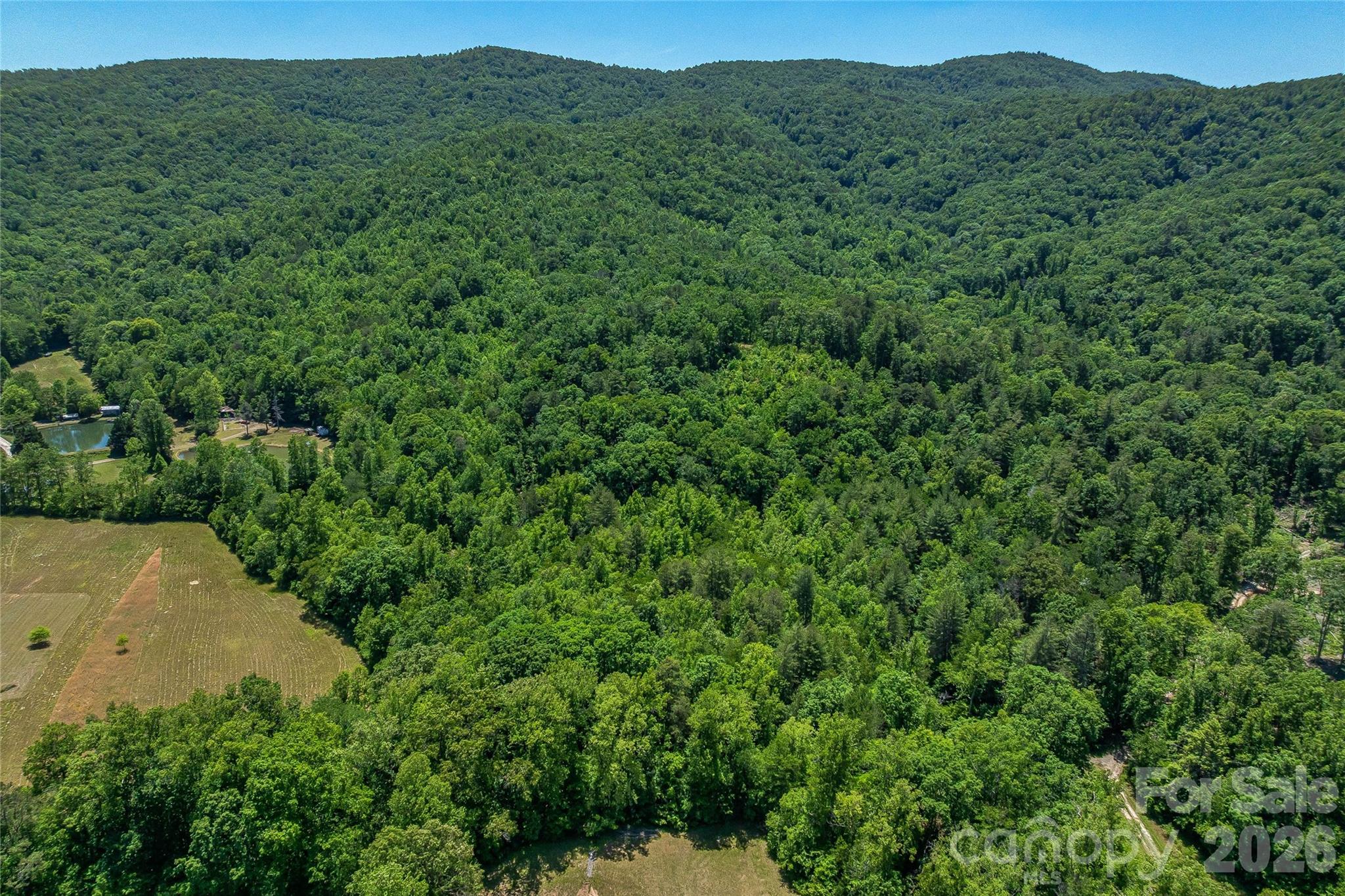 180 Fat Wall Road Marion, NC 28752 - Photo 10 of 32 a view of a lush green forest with trees in the background