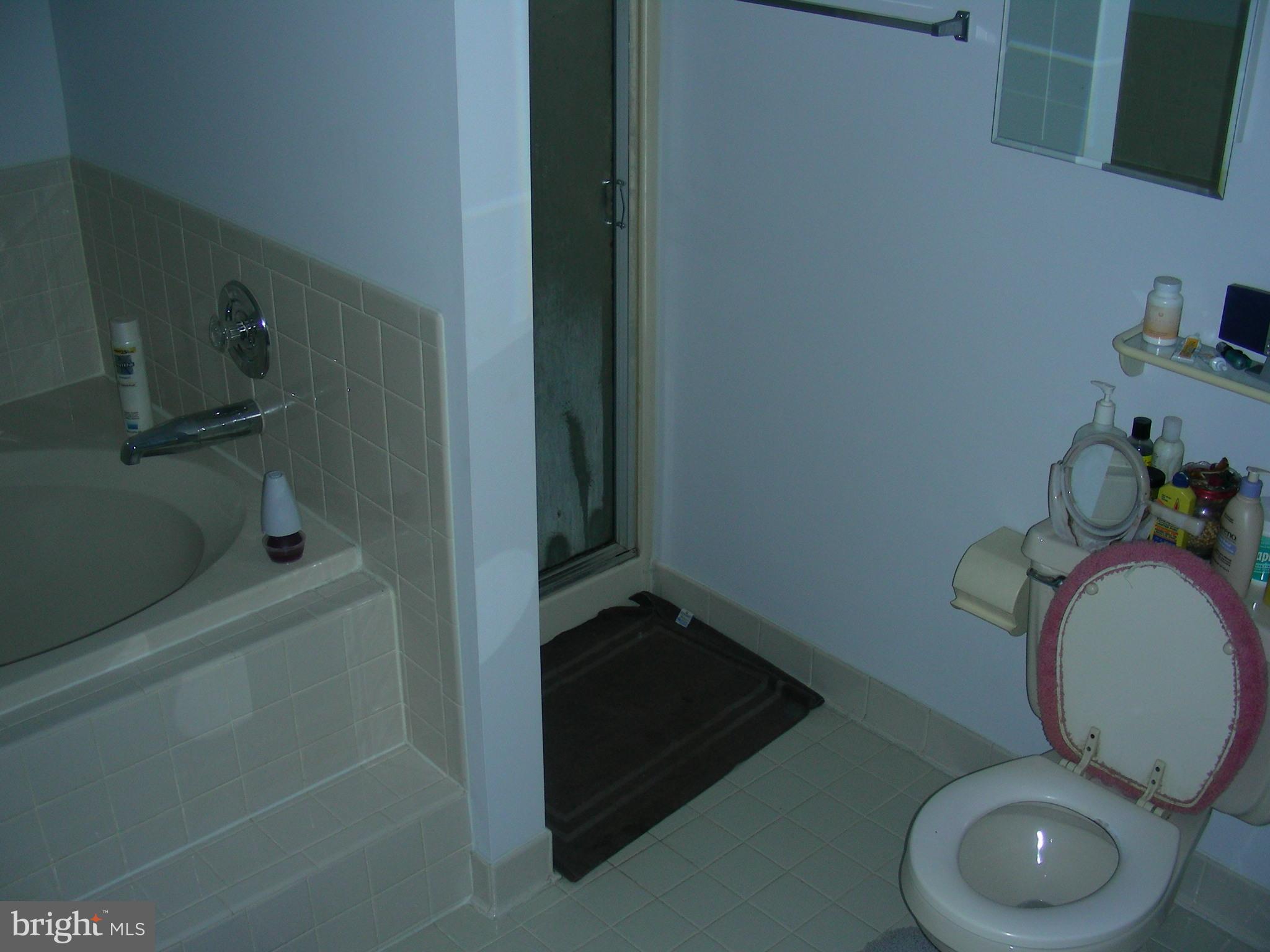 9422 Sandy Creek Road Fort Washington, MD 20744 - Photo 24 of 25 Bath (Master)