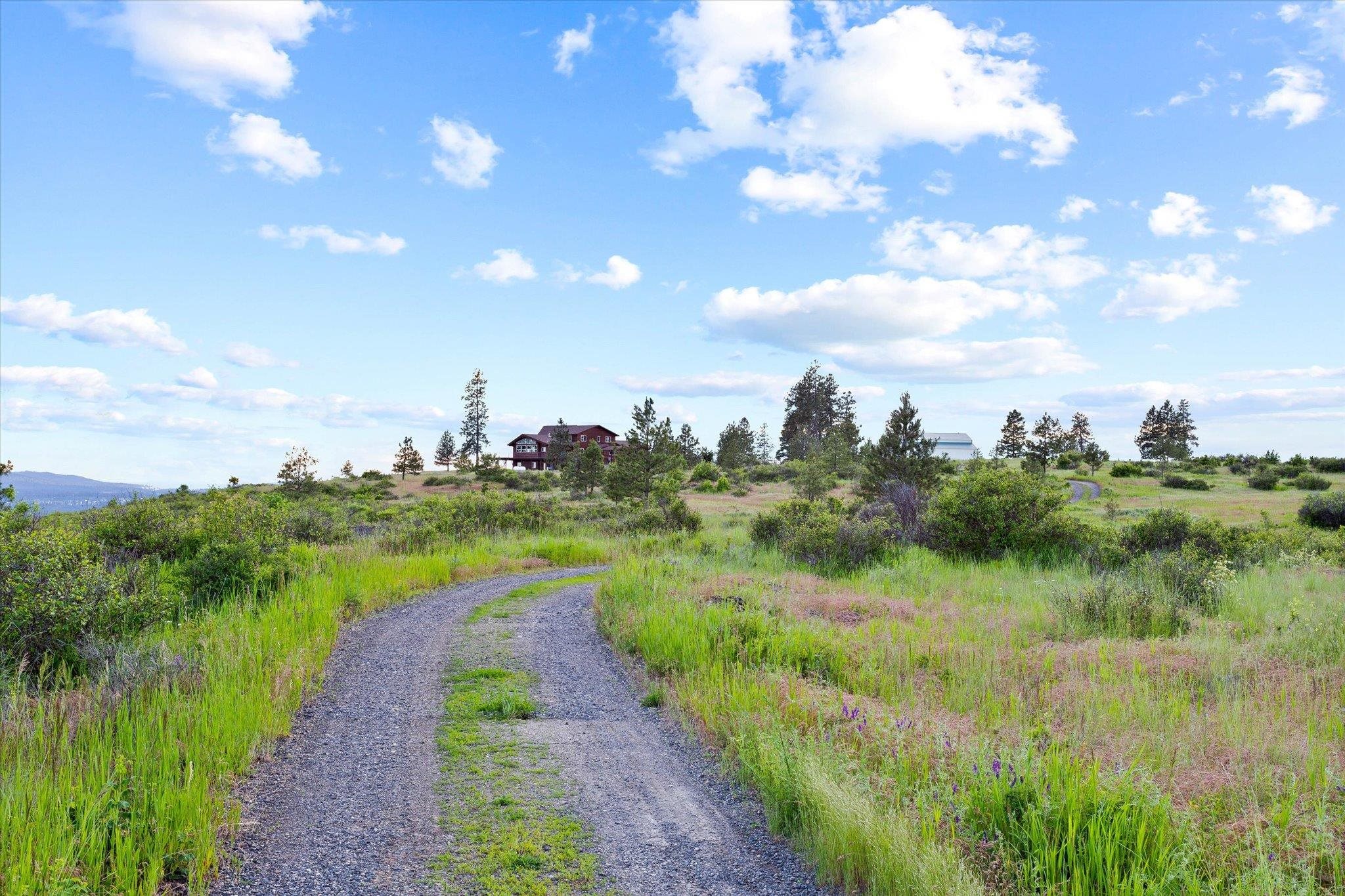29409 North Dunn Road Chattaroy, WA 99003 - Photo 44 of 50
