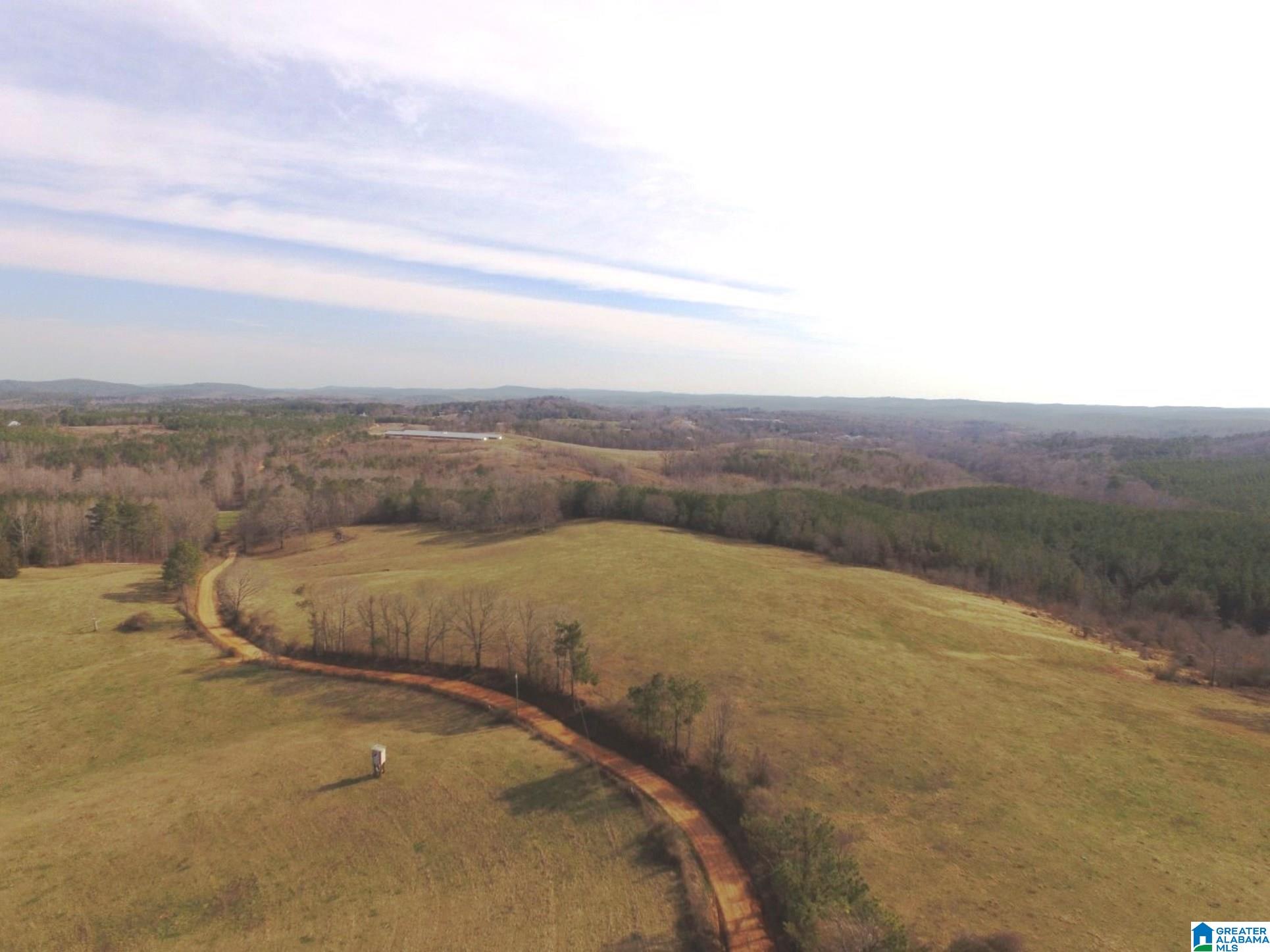 1500 Shiloh Church Road, Unit 81 95 ACRES Delta, AL 36258 - Photo 11 of 28