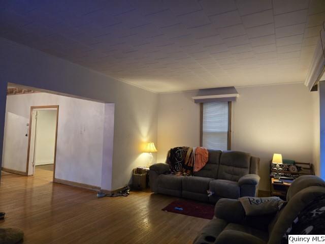 228 Wabash Avenue Carthage, IL 62321 - Photo 11 of 35 a living room with furniture and wooden floor