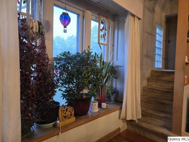 228 Wabash Avenue Carthage, IL 62321 - Photo 12 of 35 a potted plant sitting in front of a house