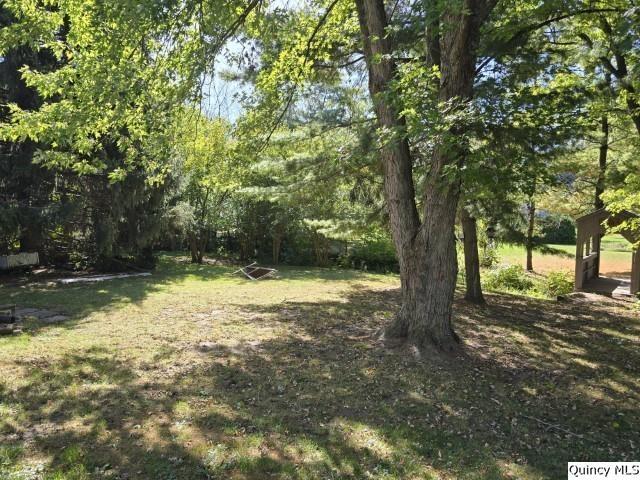 228 Wabash Avenue Carthage, IL 62321 - Photo 31 of 35 a view of a yard with a tree