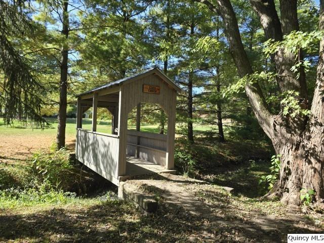 228 Wabash Avenue Carthage, IL 62321 - Photo 33 of 35 a view of a wooden house with a yard and large trees