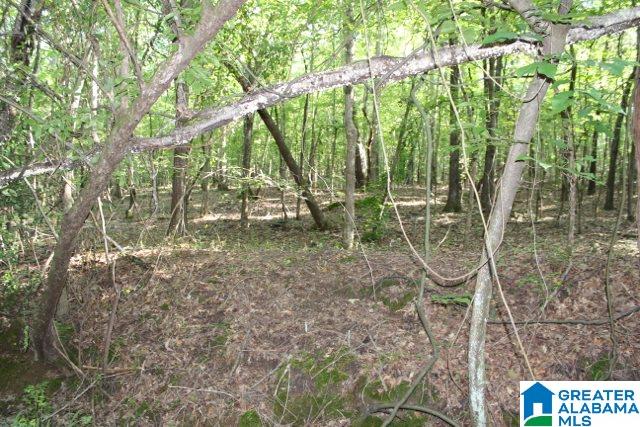 1 Benefield Gap Road Attalla, AL 35954 - Photo 11 of 50