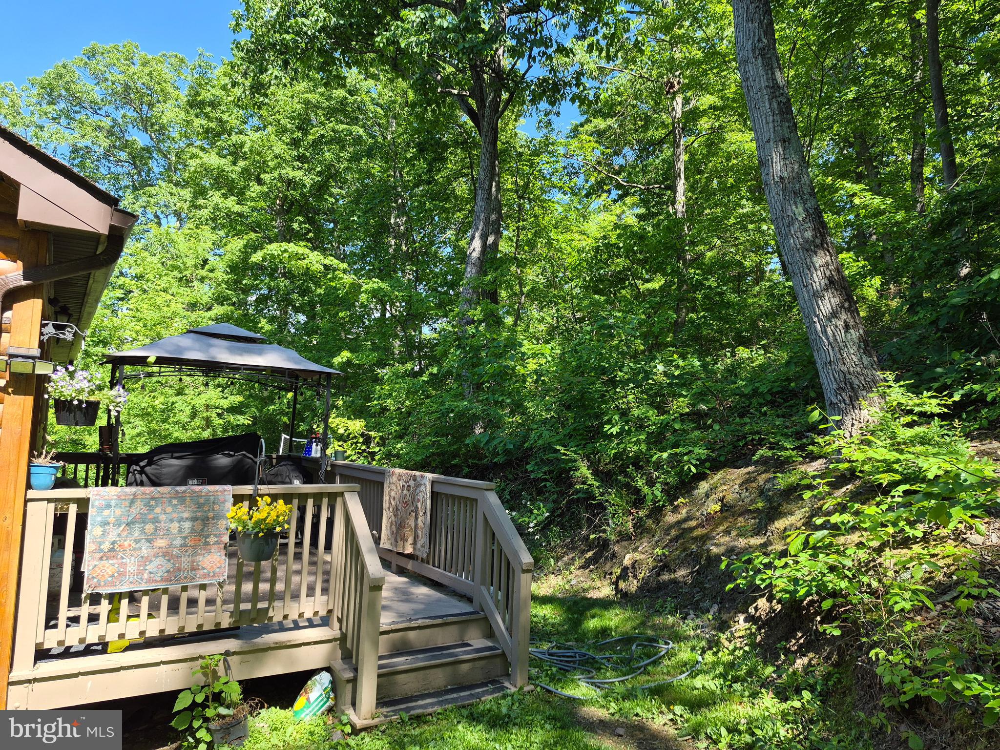 1440 Drummer Hill Road Front Royal, VA 22630 - Photo 11 of 42 a view of house with yard outdoor seating and green space