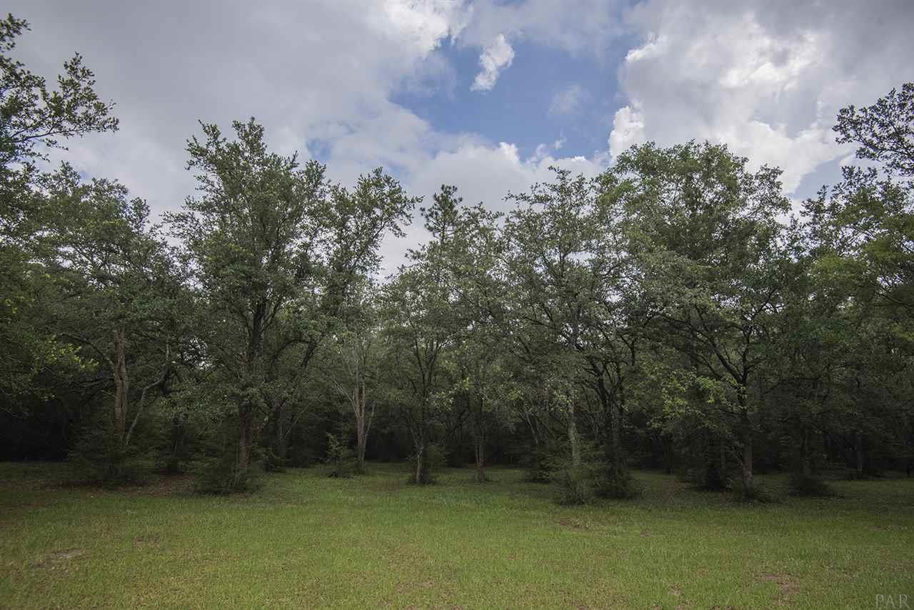 2980 Tunnel Road Pace, FL 32571 - Photo 28 of 49