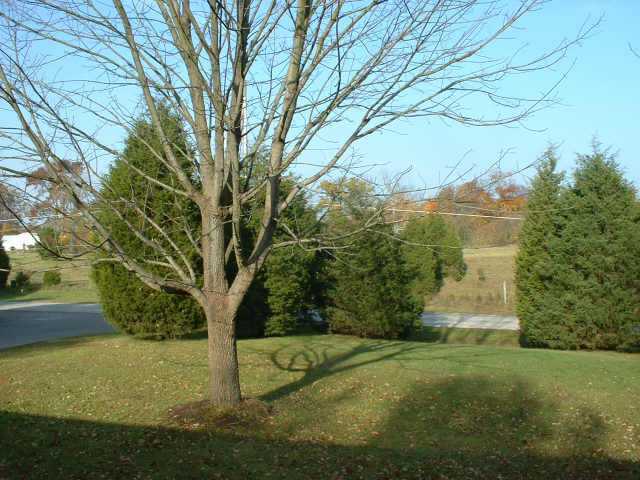 5530 Bowtown Road Delaware, OH 43015 - Photo 8 of 10