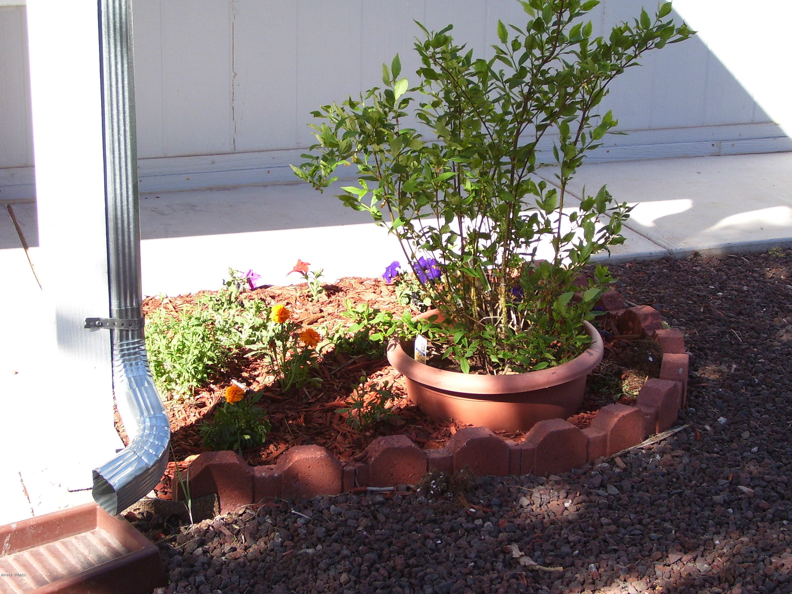 78 Apache County 3308 Road Concho, AZ 85924 - Photo 16 of 26