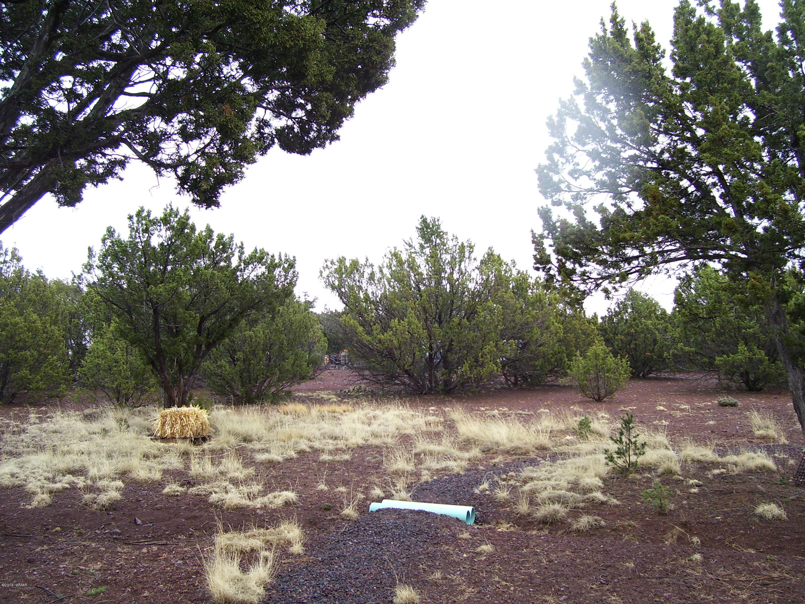 78 Apache County 3308 Road Concho, AZ 85924 - Photo 7 of 26