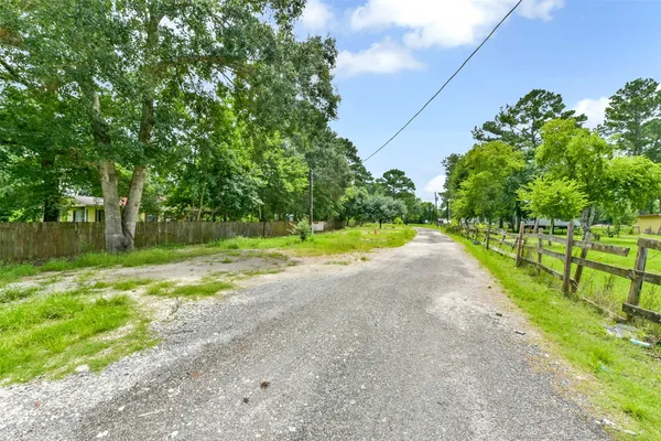 a view of a park with large trees