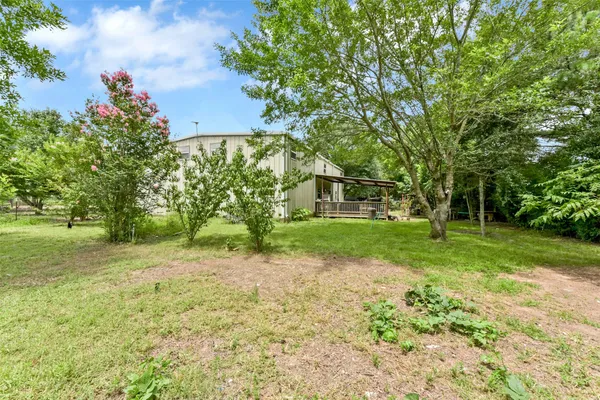 a view of a yard with plants and trees