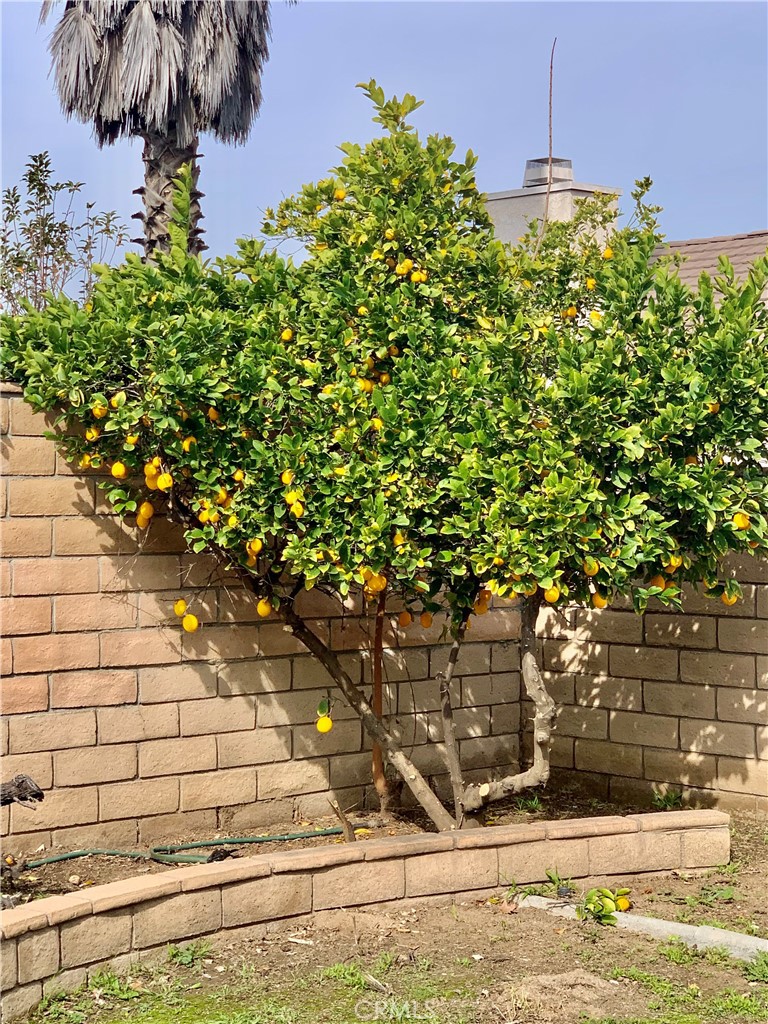 27062 Terrytown Road Menifee, CA 92586 - Photo 35 of 36