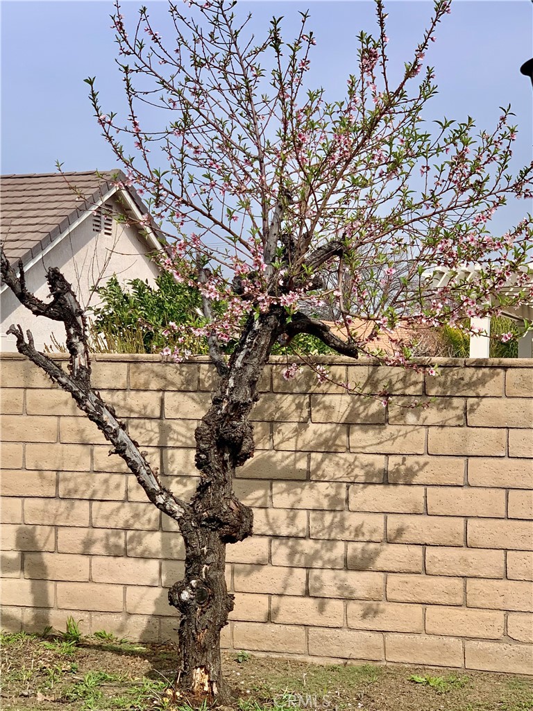 27062 Terrytown Road Menifee, CA 92586 - Photo 36 of 36 a picture of street view