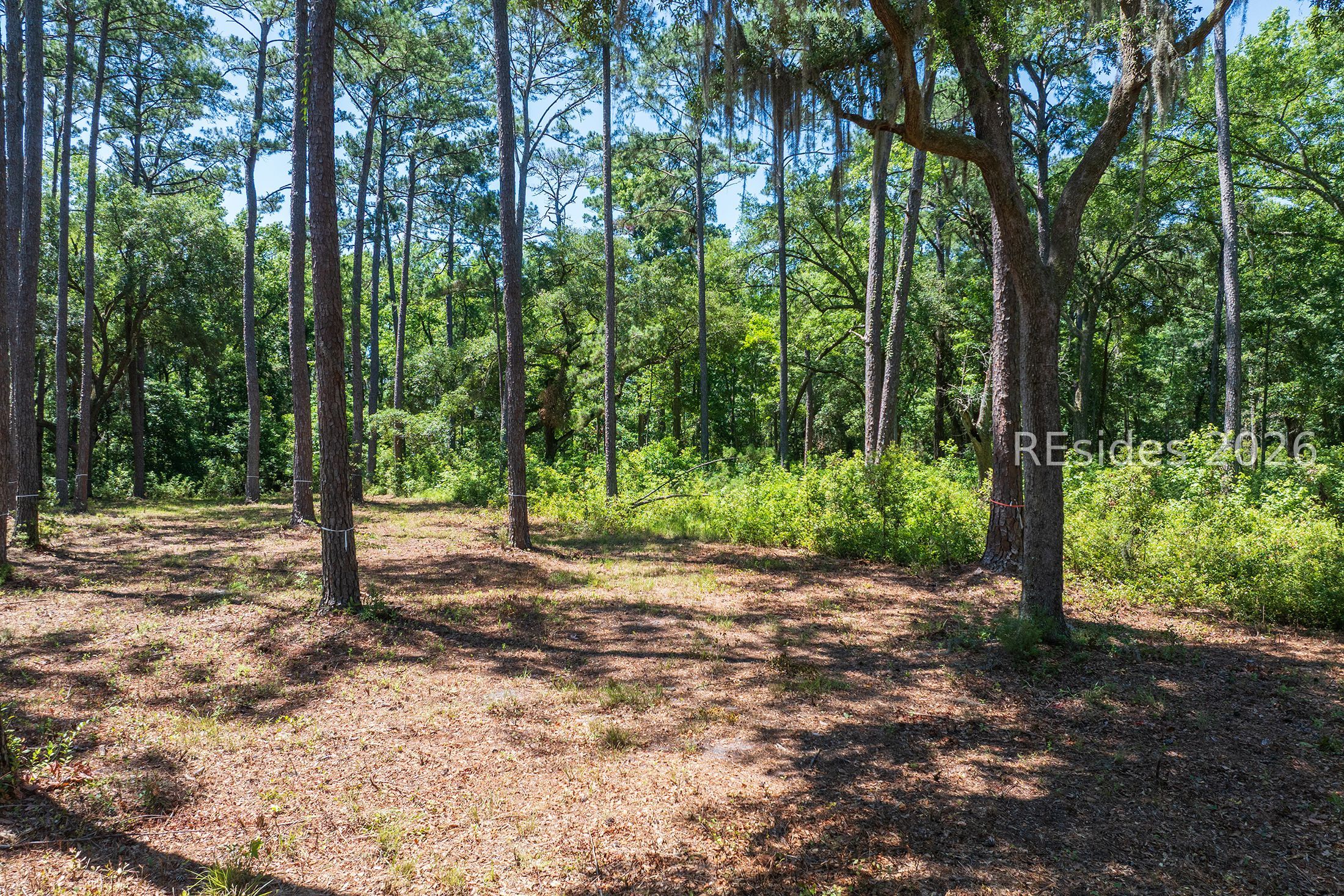 77 Lupine Road Bluffton, SC 29910 - Photo 24 of 28
