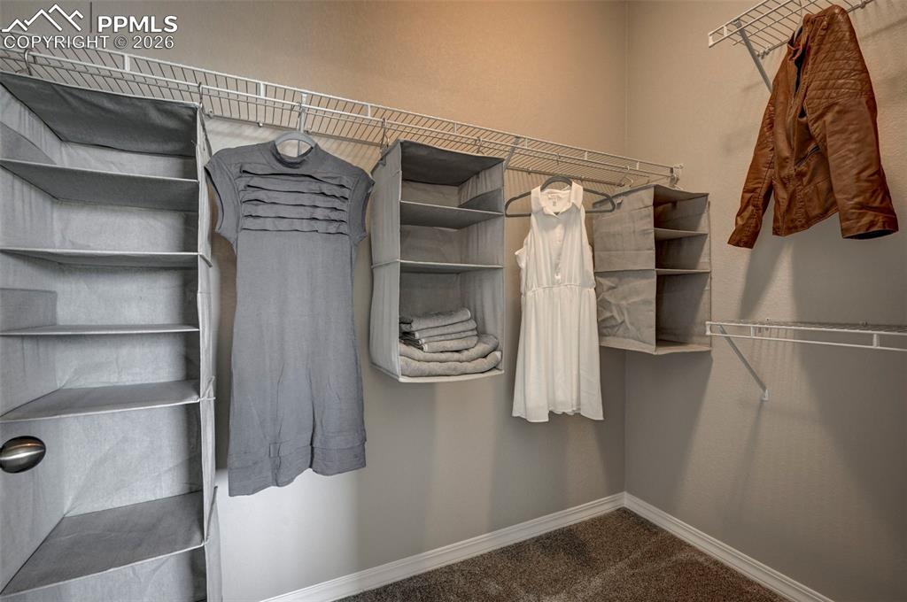 5167 Truscott Road Colorado Springs, CO 80925 - Photo 20 of 20 a view of walk in closet with clothes and shoes