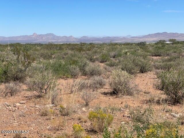 39-acres South Foothills Road, Unit 9 San Simon, AZ 85632 - Photo 9 of 12
