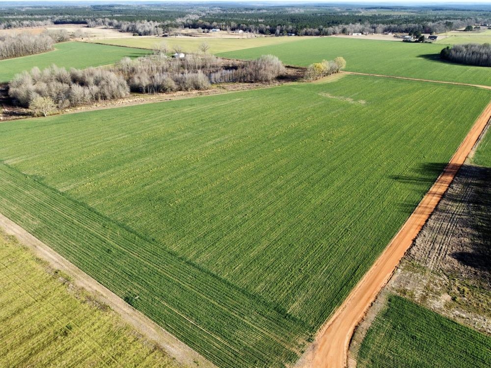0 Byrd Road Atmore, AL 36502 - Photo 10 of 27