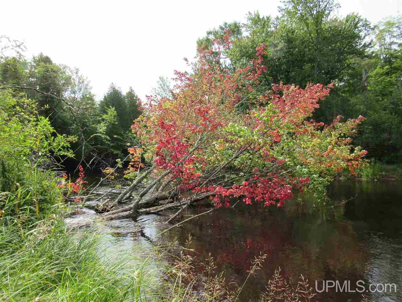 7897 Cornell Road Germfask, MI 49836 - Photo 11 of 50 Gallery Image 11
