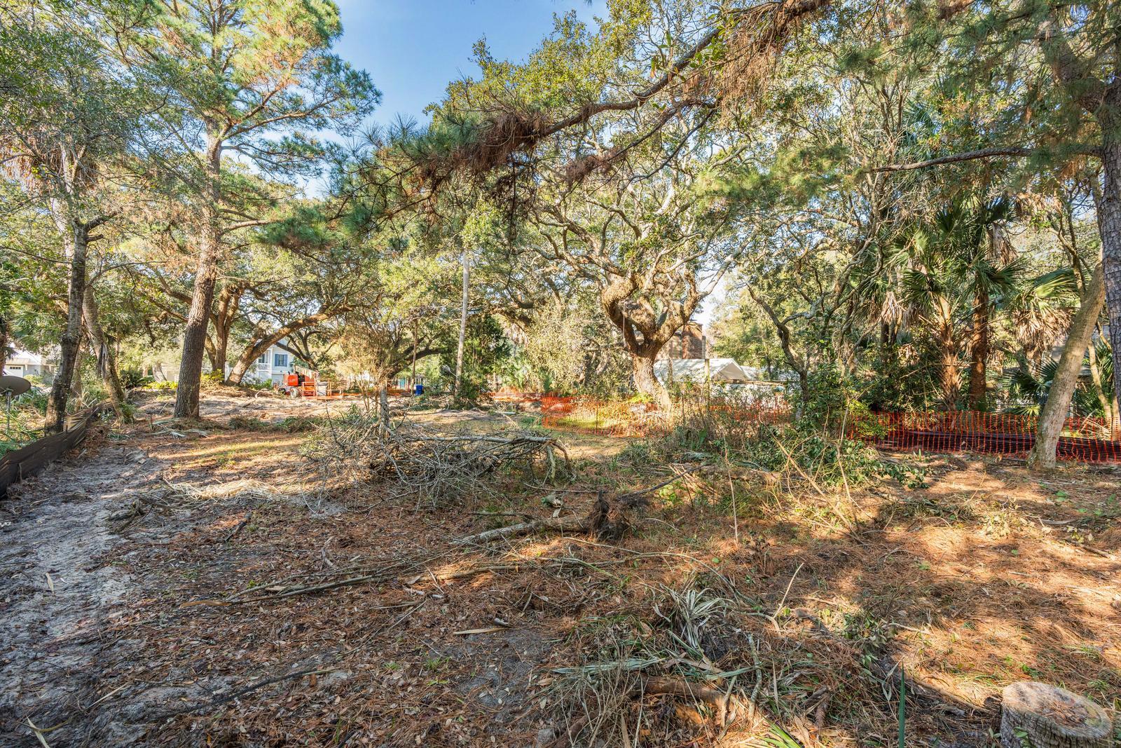 22 21st Avenue Isle of Palms, SC 29451 - Photo 4 of 12 11