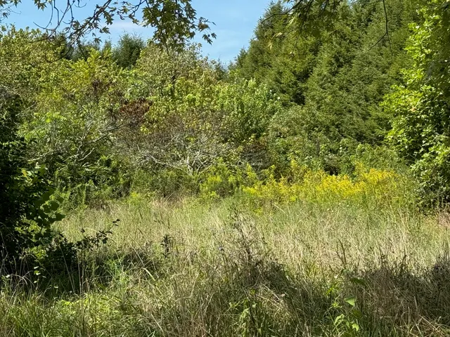 $127,900 | 1235 Tatesville Road, Palmer, TN 37365