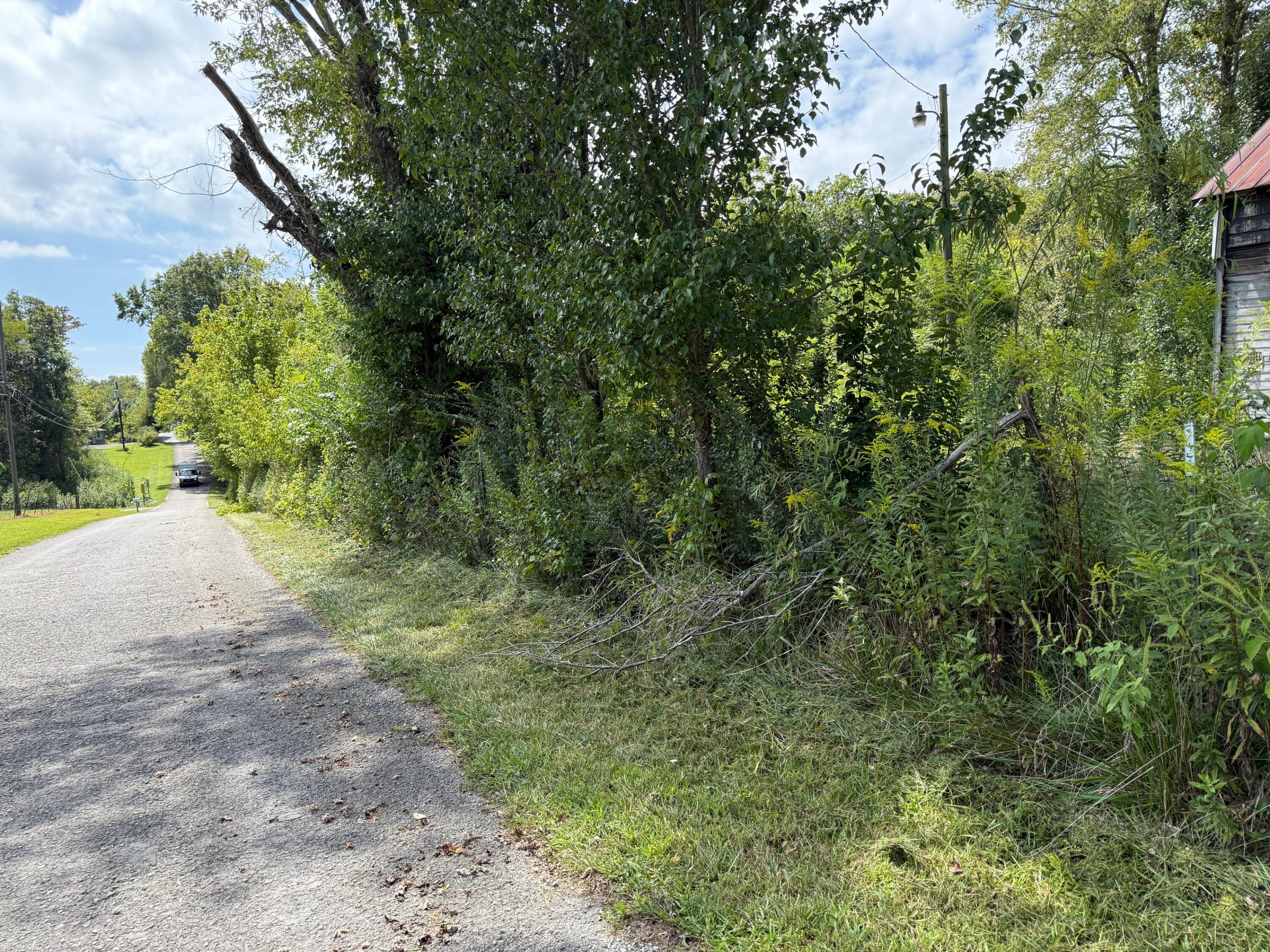 1235 Tatesville Road Palmer, TN 37365 - Photo 5 of 7 IMG_9260