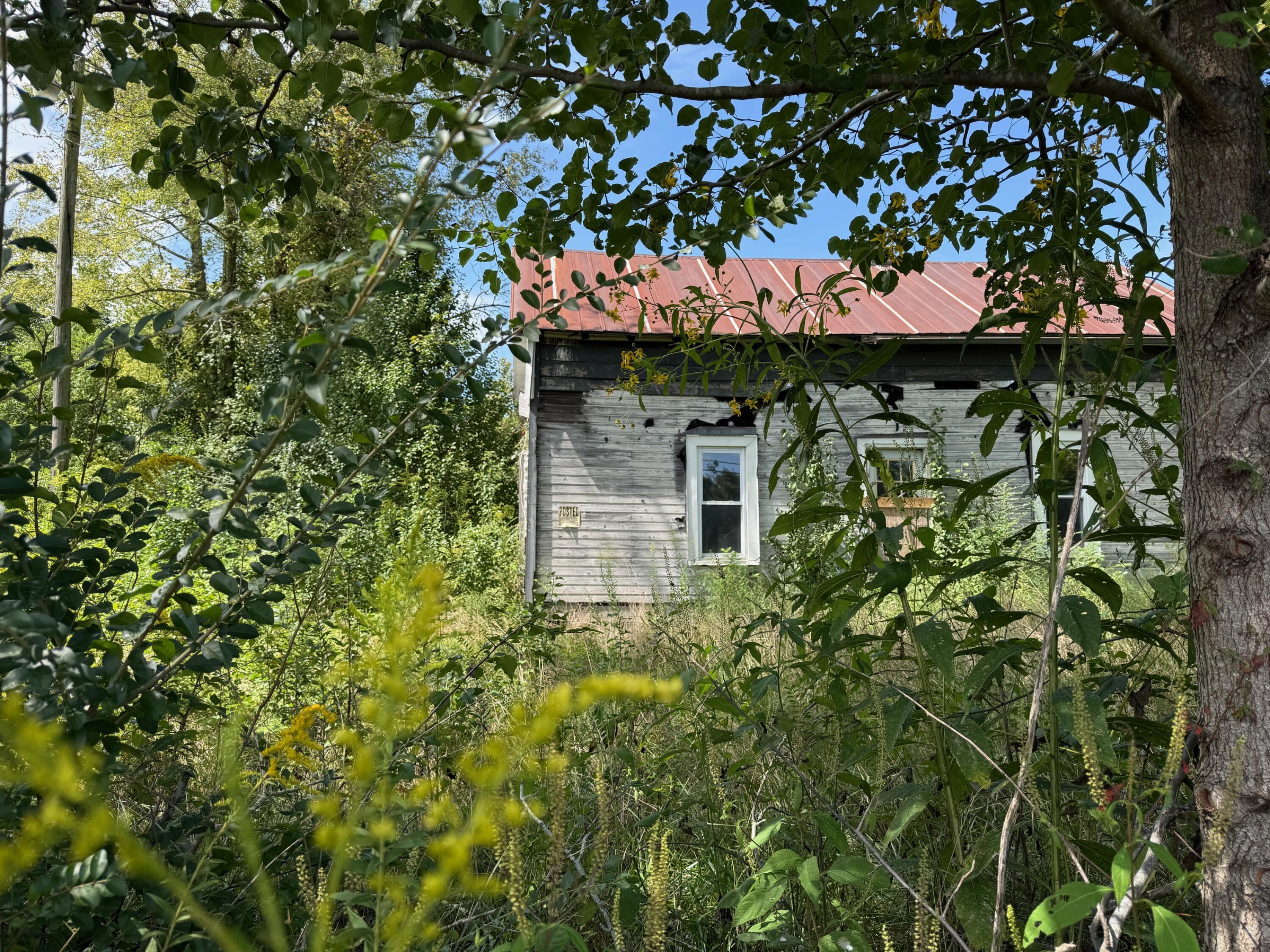 1235 Tatesville Road Palmer, TN 37365 - Photo 6 of 7 IMG_9261