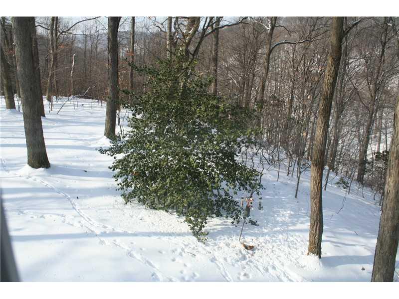 120 Witherow Road Bell Acres, PA 15143 - Photo 15 of 17 Yard/Garden.