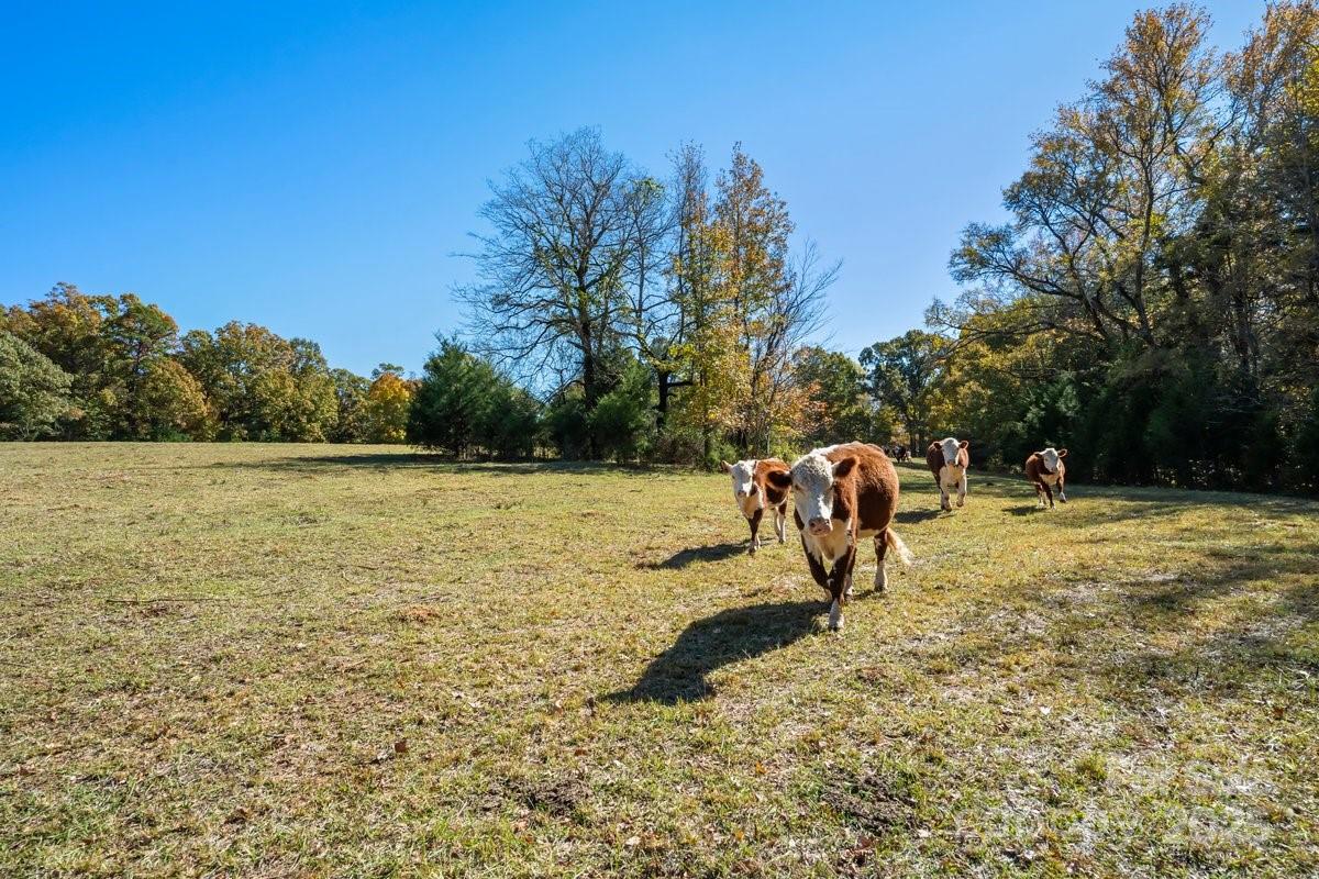 492 State Rd S-11-586 Gaffney, SC 29340 - Photo 38 of 45 a view of a lake with a bench and trees