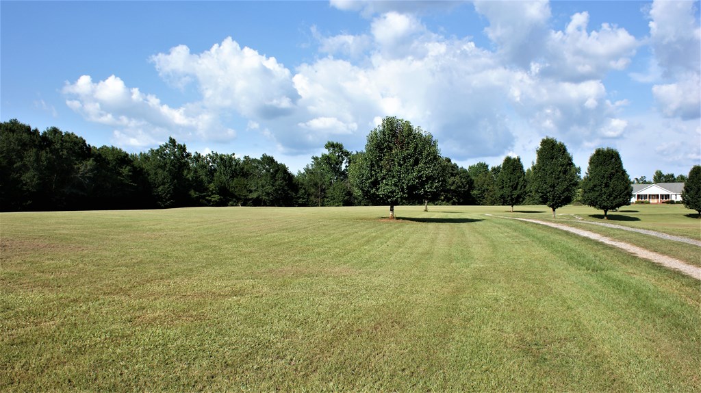 5899 Valley Road Richland, GA 31825 - Photo 23 of 23 Gallery Image 23