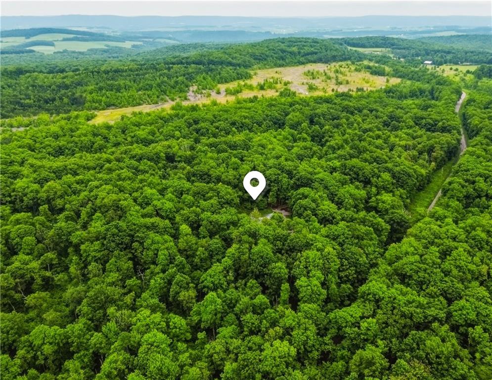 1234 Old Mule Trail Road Garrett, PA 15542 - Photo 48 of 50