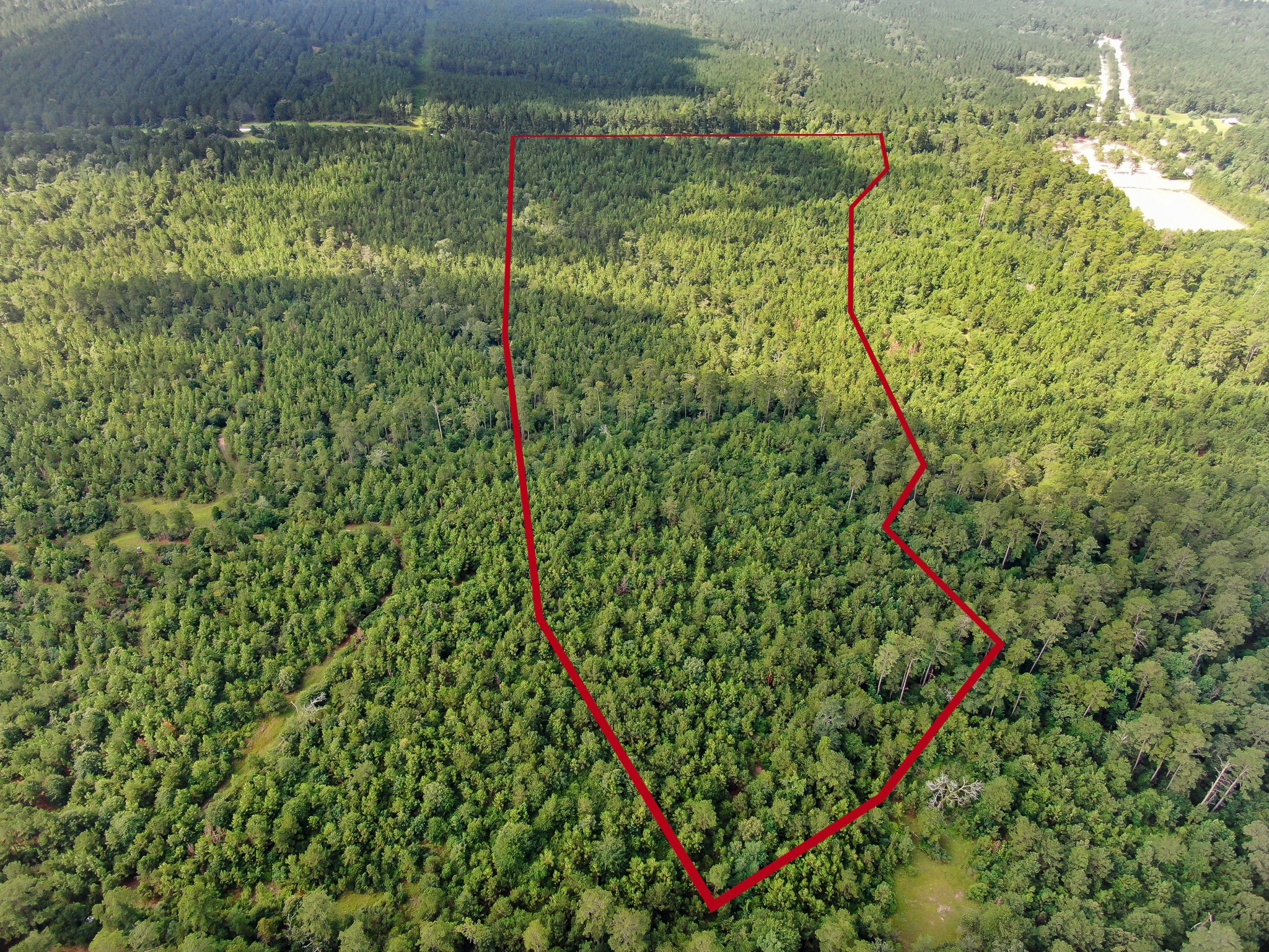 0 Scales Ranch Road Huntsville, TX 77320 - Photo 7 of 22