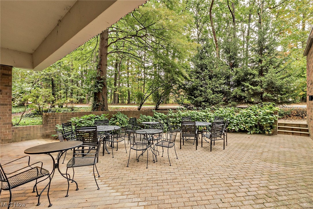 27500 Cedar Road, Unit 608 Beachwood, OH 44122 - Photo 32 of 34 Patio outside the community room.
