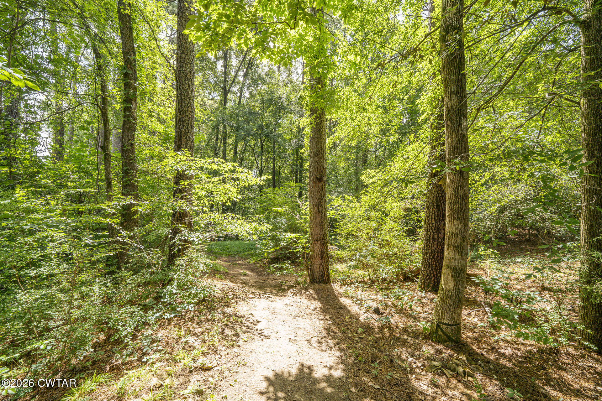 3578 Old Medina Road Oakfield, TN 38362 - Photo 8 of 66 3578 Old Medina Rd Oakfield TN-80