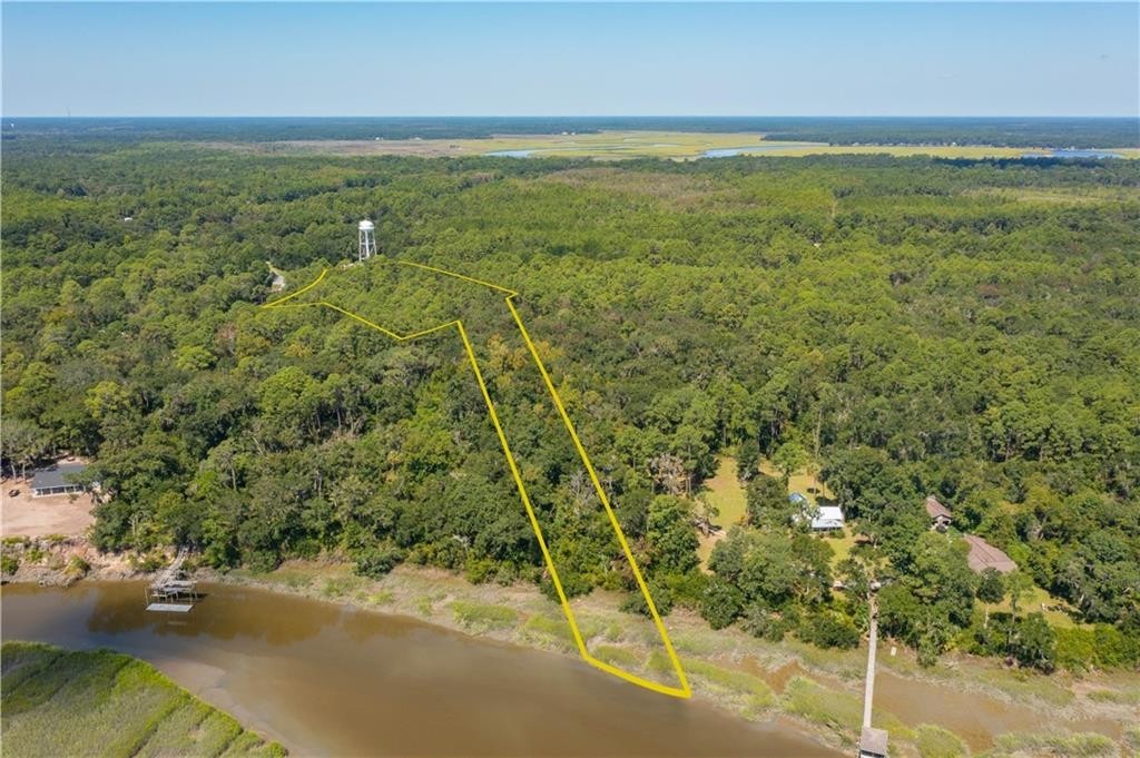 Lot 0 Donnelly-old Trail Road Northeast Townsend, GA 31331 - Photo 2 of 2