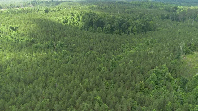 a view of a lush green field