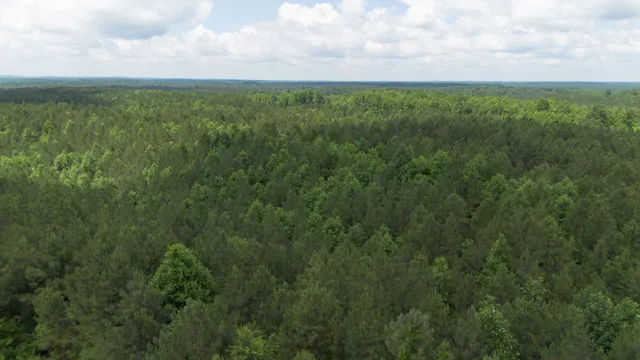 a view of a field with an ocean