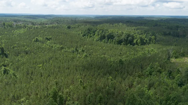 a view of a lush green space with sea
