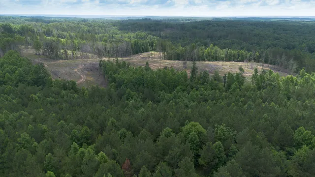 a view of a green field with lots of bushes