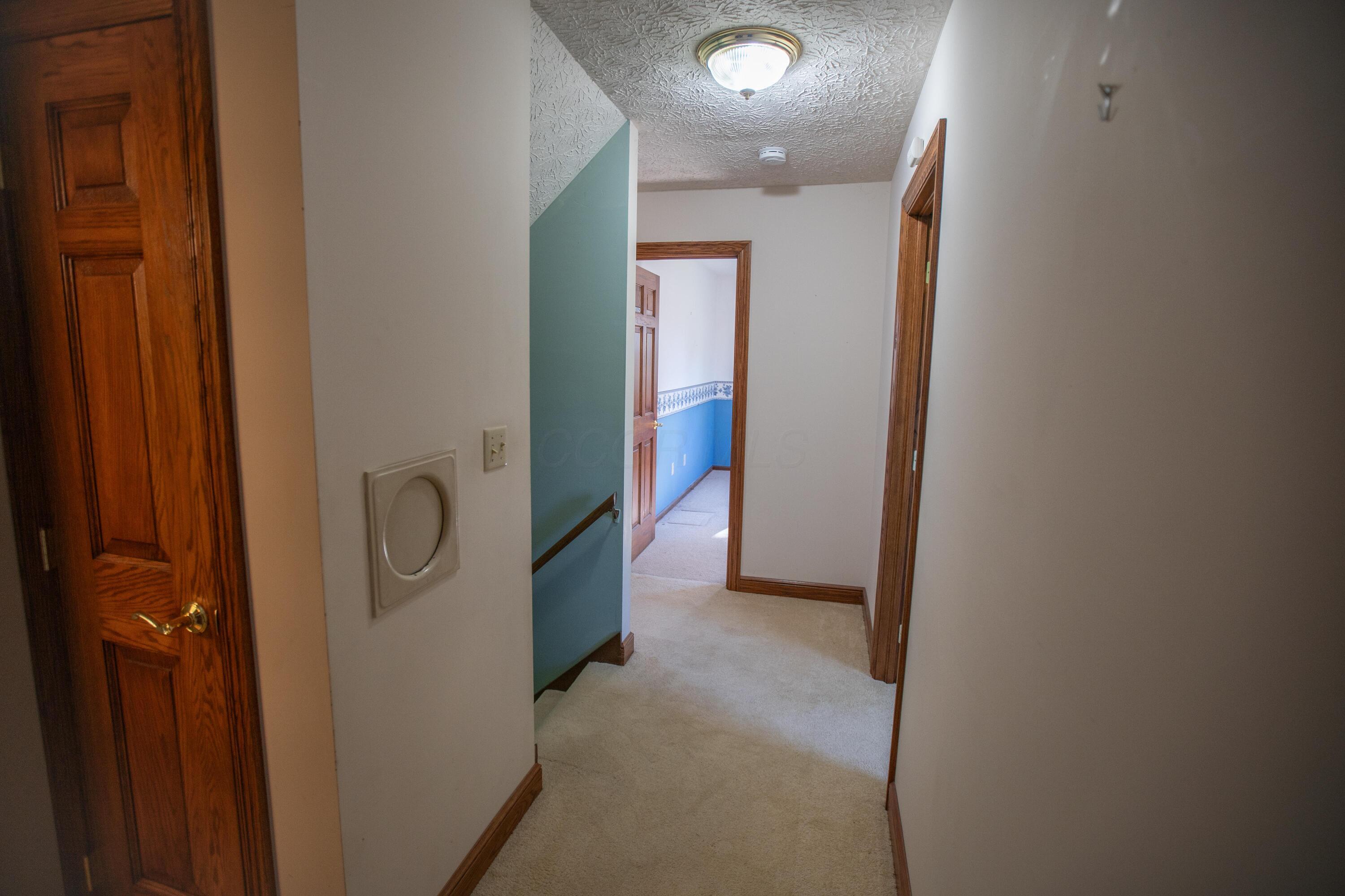 541 Willey Road Delaware, OH 43015 - Photo 34 of 56 DSC07002