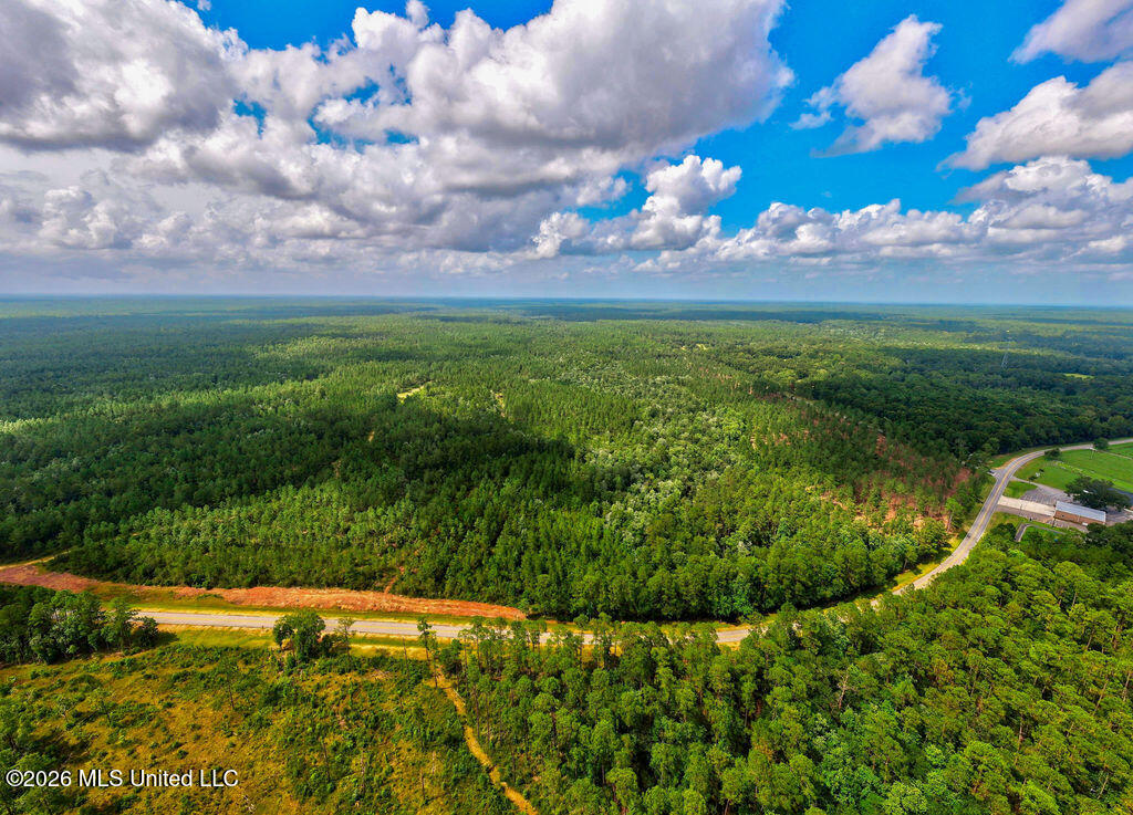 Nhn Lot 2 Nhn Road Saucier, MS 39574 - Photo 48 of 87 HiddenCreekEstatesNoLines-5