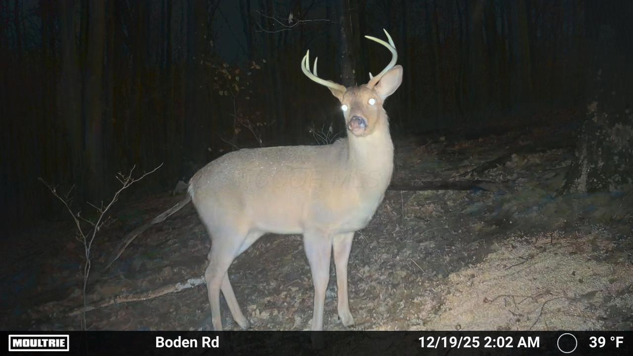 0 Boden Road Cambridge, OH 43725 - Photo 102 of 102 Temp_2998566-20251219070416-pir_20251219
