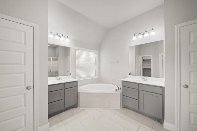 a bathroom with a sink a large mirror and a bathtub