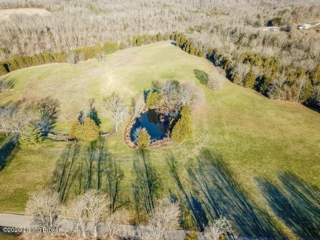 1247 Wildcat Road Lawrenceburg, KY 40342 - Photo 53 of 54 DJI_0016