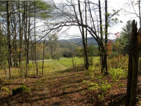 Lot #3 Spaulding Road St. Johnsbury, VT 05819 - Photo 1 of 8 Gallery Image 1