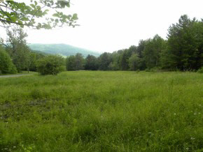 Lot #3 Spaulding Road St. Johnsbury, VT 05819 - Photo 2 of 8 Gallery Image 2