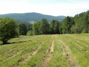 Lot #3 Spaulding Road St. Johnsbury, VT 05819 - Photo 3 of 8 Gallery Image 3