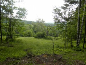 Lot #3 Spaulding Road St. Johnsbury, VT 05819 - Photo 4 of 8 Gallery Image 4