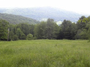 Lot #3 Spaulding Road St. Johnsbury, VT 05819 - Photo 7 of 8 Gallery Image 7