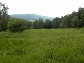 Lot #3 Spaulding Road St. Johnsbury, VT 05819 - Photo 8 of 8 Gallery Image 8